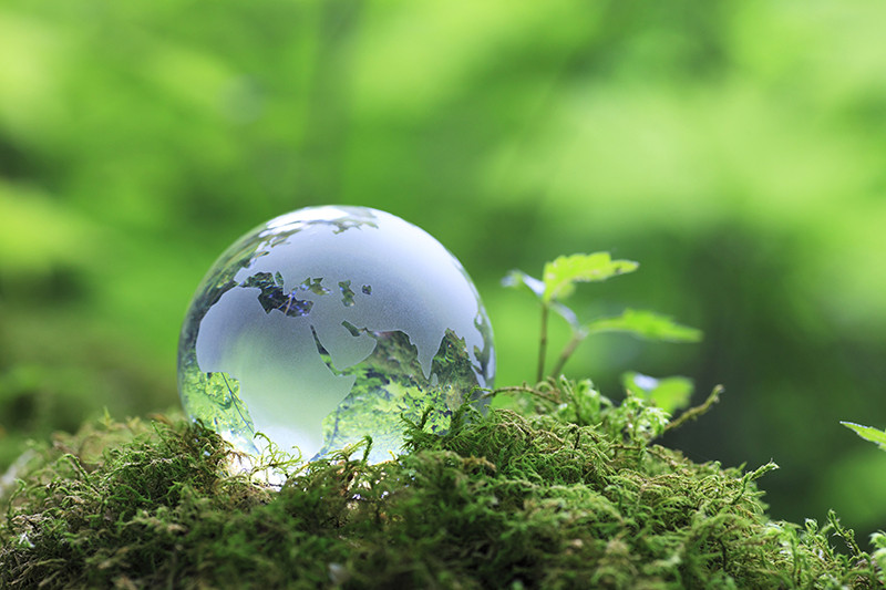 千葉の遺品整理業者は口コミで信頼できると評判です