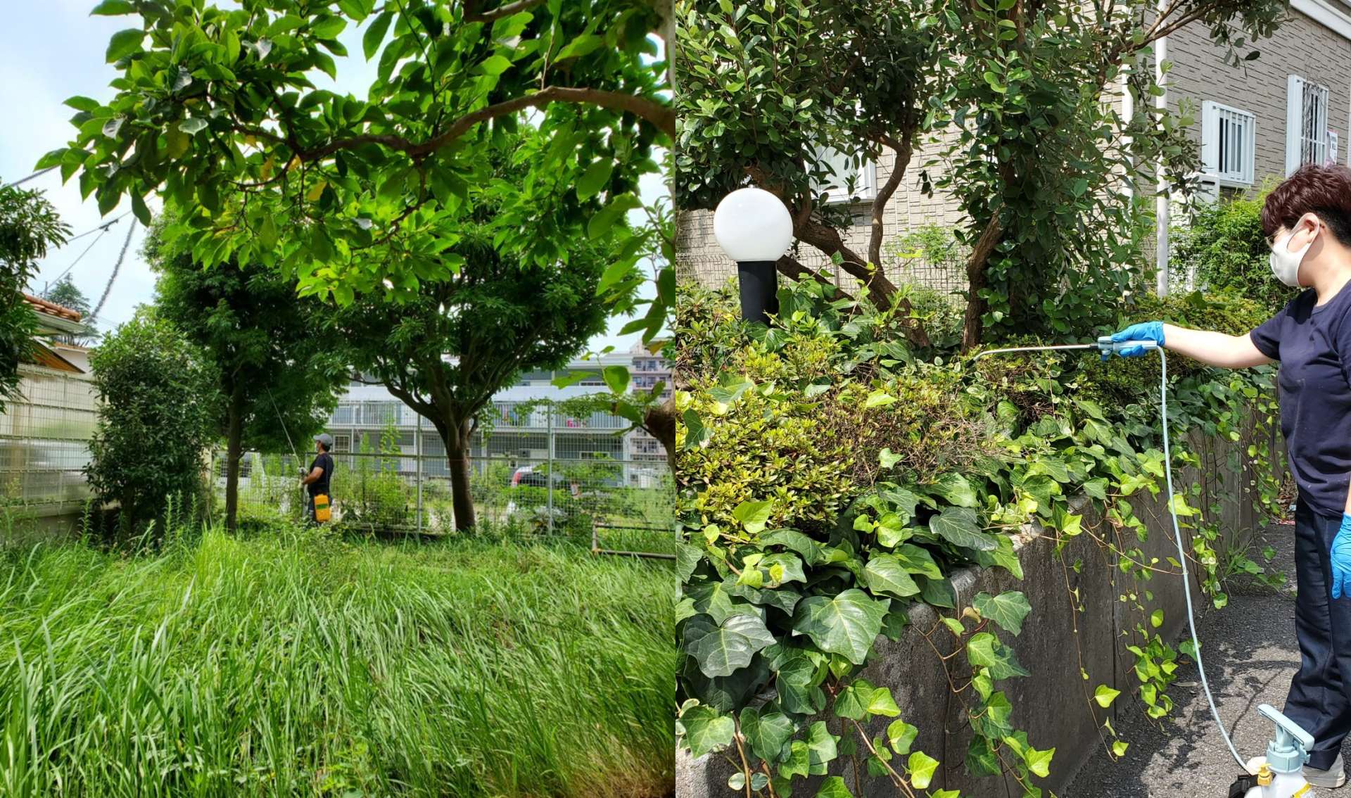 庭木の伐採・除草作業・庭木の害虫駆除　習志野市