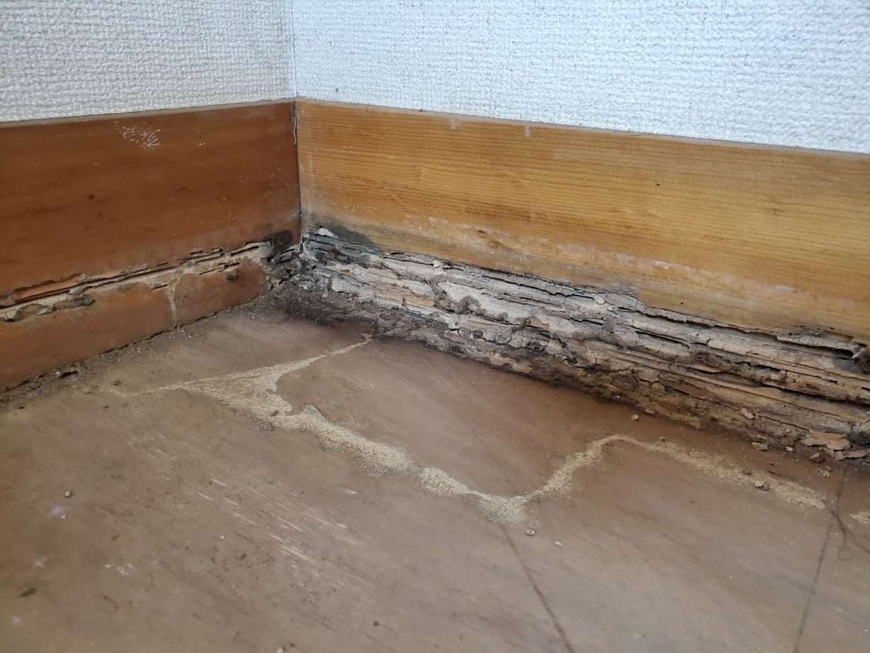 湿気 シロアリ 対策  床下リフォーム  